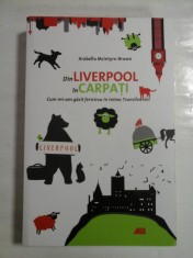 Din LIVERPOOL in CARPATI * Cum mi-am gasit fericirea in inima Transilvaniei - Arabella McIntyre - BROWN foto