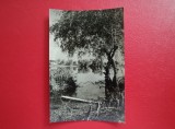 CARTE POSTALA - RPR - PEISAJ DIN DELTA