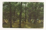RF59 -Carte Postala- Sibiu, Camping la Dumbrava, circulata 1968