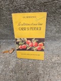 Să cultivăm cit mai bine caişii şi piersicii