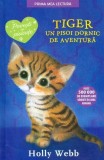Tiger, un pisoi dornic de aventura | Holly Webb