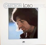 Vinil Lobo &lrm;&ndash; Collection (VG+), Rock