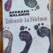 Bernard Malamud - Tablourile lui Fidelman