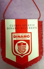 Fanion Dinamo foto