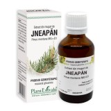 Cumpara ieftin Extract din muguri de Jneapan, 50 ml, Plant Extract