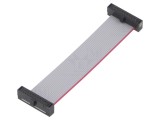 Cablu panglică SAMTEC IDC 63,5mm FFSD-10-D-02.50-01-N cu conectori IDC dublu