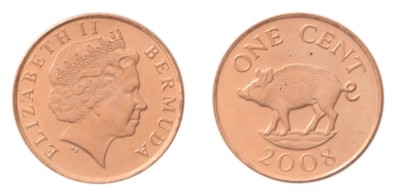 Bermuda 2008 - 1 cent UNC foto