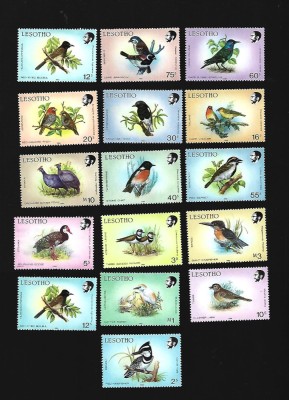 lesotho pasari mnh foto