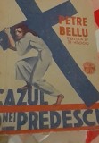 CAZUL D NEI PREDESCU COLECTIA 15 LEI