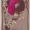 CARTE POSTALA ~ datata 18 Dec.1909 ~