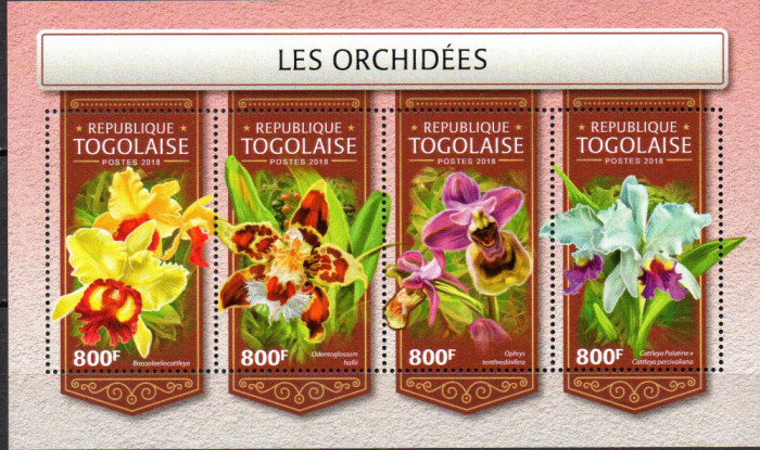 TOGO 2018, Flora, Orhidee, serie neuzata, MNH