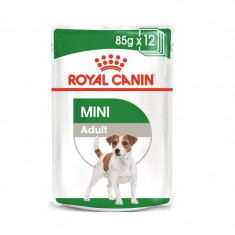 Hrana umeda pentru caini, Royal Canin, Mini Adult, 12 plicuri x 85g foto