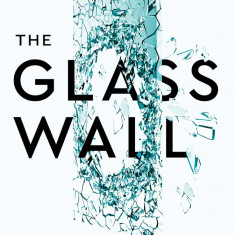 The Glass Wall: Success strategies for women at work and businesses that mean business | Sue Unerman, Kathryn Jacob