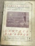 PPP. Cartea Vietii - Cantece din popor - nr. 5