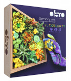 Cumpara ieftin Set creativ - Wood&amp;Craft DIY Succulents - Energy | Okto Clay