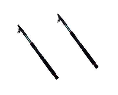 Set 2 lansete telescopice putere 120g foto