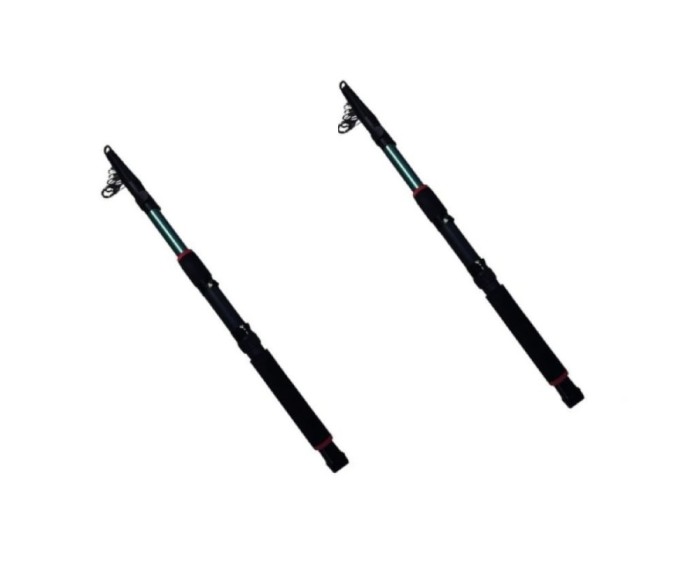 Set 2 lansete telescopice putere 120g