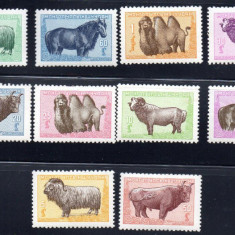 MONGOLIA 1958, Fauna, serie neuzata, MNH