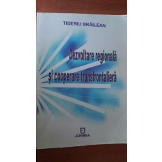 Dezvoltare regionala si cooperare transfrontaliera- Tiberiu Brailean