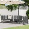 Gossi set mobilier de gradina, 3 piese, gri, lemn masiv de pin