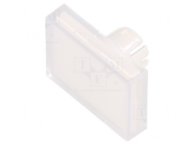 Lentilă Transparentă pentru Buton 22mm din Plastic foto