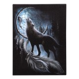 Tablou Canvas &bdquo;From Darkness&rdquo; &ndash; Artă Gotică cu Lup și Dreamcatcher 19x25cm