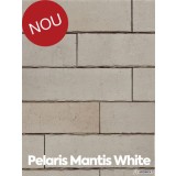 Placaj klinker Terca Pelaris Mantis White 21.5x6.5x1.4 cm