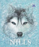 Nills - Gabriel Poenaru - DPH