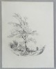 &quot;Calaret&quot; desen in creion 1832, Peisaje, Carbune, Realism