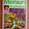 Maria Cristea Soimu - Meniuri de primăvară