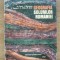 FLOREA / MUNTEANU / RAPAPORT / s. a. - GEOGRAFIA SOLURILOR ROMANIEI - 1968