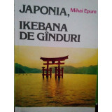 Mihai Epure - Japonia, Ikebana de ganduri (1991)