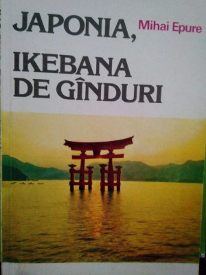 Mihai Epure - Japonia, Ikebana de ganduri (1991) foto