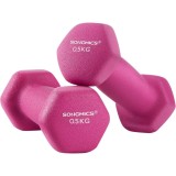SONGMICS Set 2 gantere fitness de 0,5 kg fiecare,greutate totala 1 kg,pentru exercitii si antrenamente acasa sau la sala,miez din fonta cu invelis