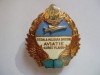 INSIGNA MILITARA AVIATIE - SCOALA MILITARA OFITERI AVIATIE AUREL VLAICU, IM1.127