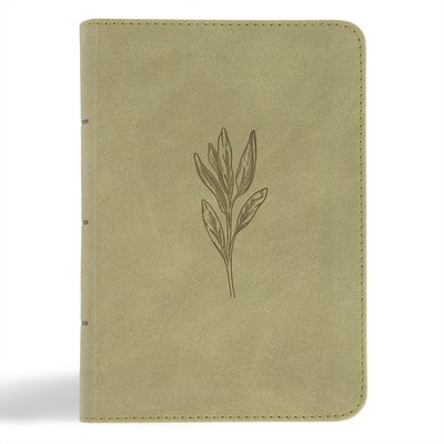 NASB Large Print Compact Reference Bible, Sage Suedesoft Leathertouch foto