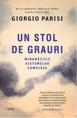 Un stol de grauri - Giorgio Parisi foto