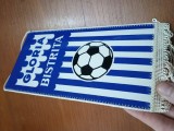 Fanion matase FOTBAL , CLUBUL SPORTIV BISTRITA