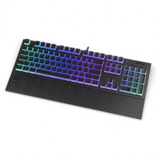 Tastatura Gaming Mecanica Endorfy Omnis Pudding Blue, iluminare RGB, USB, Layout US (Negru)