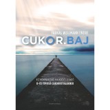 Cukor.baj - K&eacute;zik&ouml;nyv kezdő, halad&oacute; &eacute;s leendő II-es t&iacute;pus&uacute; cukorbetegeknek - Farkas Wellmann Endre