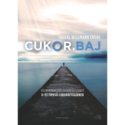 Cukor.baj - K&amp;eacute;zik&amp;ouml;nyv kezdő, halad&amp;oacute; &amp;eacute;s leendő II-es t&amp;iacute;pus&amp;uacute; cukorbetegeknek - Farkas Wellmann Endre foto