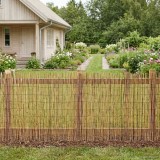 vidaXL Gard de Grădină Carbonizat 300 x 100 cm Stuf 42031261