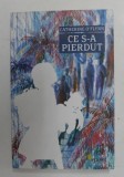 CE S-A PIERDUT de CATHERINE O &#039;FLYNN , 2012
