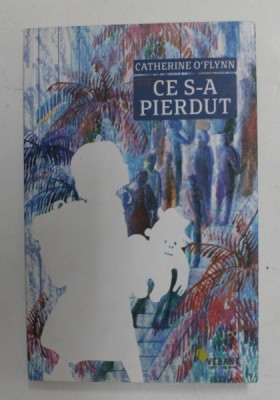 CE S-A PIERDUT de CATHERINE O &amp;#039;FLYNN , 2012 foto