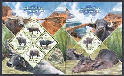Solomon Islands - Fauna Australiana - BIVOLI DE APA - BL + KB - MNH foto