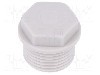 Presetupa poliamida, M20, IP54, SKINDICHT&amp;reg; WN-M, LAPP - 52020523 foto