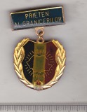 Bnk ins Insigna de pionieri Prieten al granicerilor - cu bareta - alama, Romania de la 1950