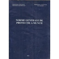 Norme generale de protectie a muncii 2002