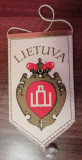 M3 C7B - Tematica diverse - heraldica - Lituania