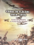 CERUL IN FLACARI 1914 1918 VALERIU AVRAM